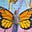 Craig Macbeth's avatar