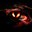 A wise Guy's avatar