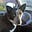Frances Schroeder's avatar