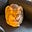 Catnip's avatar