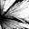 Nocturnal Echoes's avatar