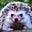 LM the Hedgehog's avatar
