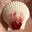 Patti McCarty's avatar