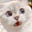 Shirley's avatar