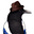 Gav's avatar