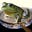 FroggyZombie's avatar
