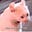 Jessie Kilkelly's avatar