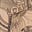 R. Dale's avatar