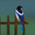Oonagh Summerbell's avatar