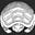 ruth ozeki's avatar
