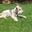 Tintin LeChien's avatar