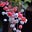 Kriss_tiney's avatar