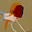 Belisa.'s avatar