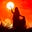 The Nomadic Widow's avatar