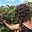 Julie LiRocchi's avatar