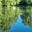 Swans and Kingfishers's avatar
