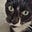Rocky's avatar