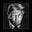 Jim Berrigan's avatar
