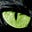 M H's avatar
