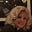 Lisa Dooley's avatar