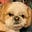 LCN's avatar