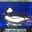 Tim Button's avatar