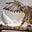 Hawkish_Dove's avatar