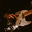 Patrick Oakes's avatar