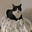 Wendy Straw's avatar