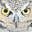 Lisa K Beck's avatar