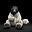 V Z's avatar