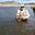 Douglas Hartman's avatar