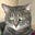 Little Gray's avatar