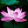 Holly's avatar