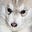 Faythe Pal's avatar