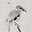 belshikun's avatar