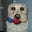Tom Crudele's avatar