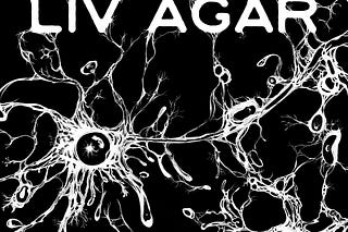 Liv’s Newsletter | Liv Agar | Substack