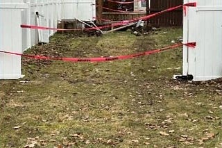 The Chad Rabbit | Substack