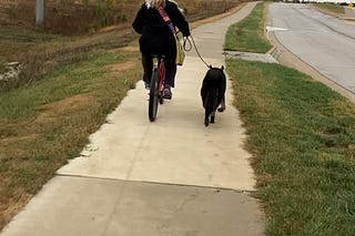 Romy’s Substack | Romy Taylor | Substack