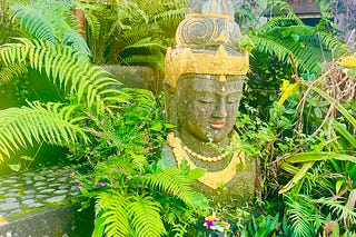 The unbelievable can happen to you | Maria Mocerino | Substack