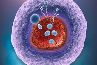 Amino Acids and Peptides: Secrets of Longevity and Radiance | Henry Bee