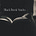 Black Book Stacks