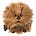 Furball Financial