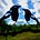 Magpie Hollow Farm News