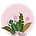 Bloom by Chayn