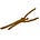 Sticks & Twigs Newsletter