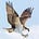 The Osprey Weekly