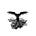 Roots & Wings with Frank Furedi