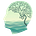 Homo Imaginari